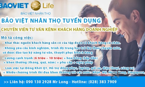 BẢO VIỆT NHÂN THỌ TUYỂN DỤNG - CHUYÊN VIÊN TƯ VẤN KÊNH KHÁCH HÀNG DOANH NGHIỆP